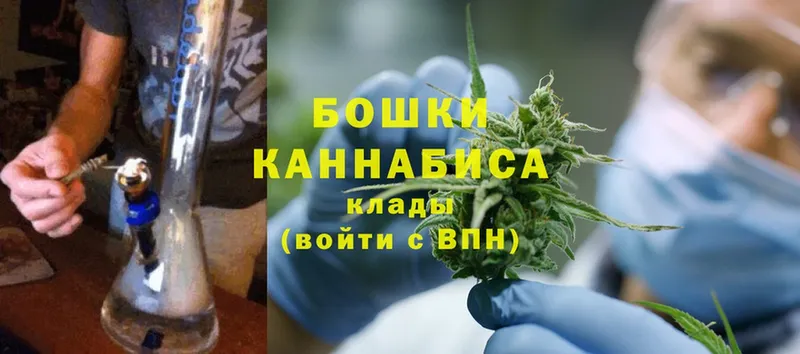 Шишки марихуана OG Kush  где купить   Знаменск 